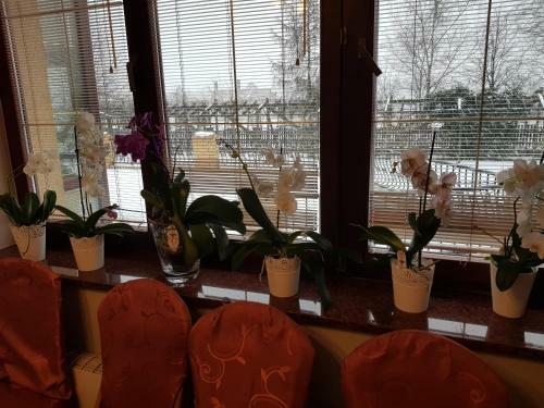Hostal Go?ciniec S?oneczny