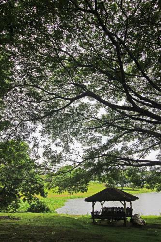 Hotel Caliraya Resort Club