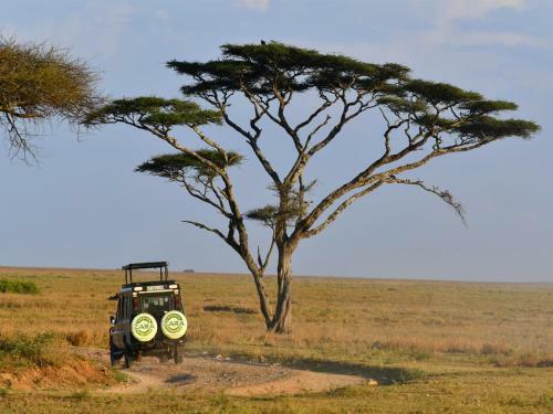 Serengeti Wild Camp
