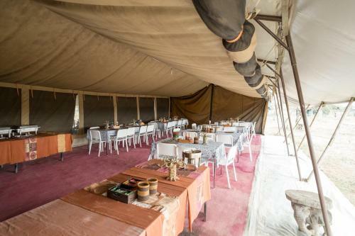 Serengeti Wild Camp