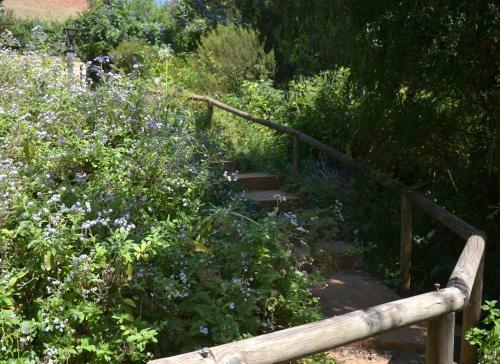 Hostal Glasshouse In The Winelands