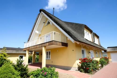 Reetdachhaus "strandhaus Sterni"