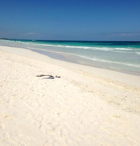 Hotel Om Tulum Caba�as And Beach Club