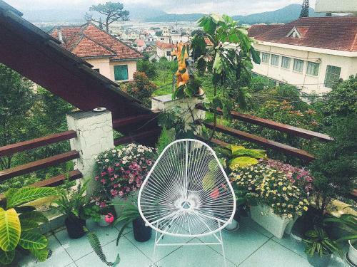 Bed & Breakfast The Balcony Bnb