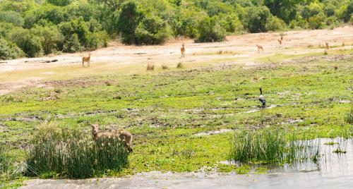 Sambiya River Lodge