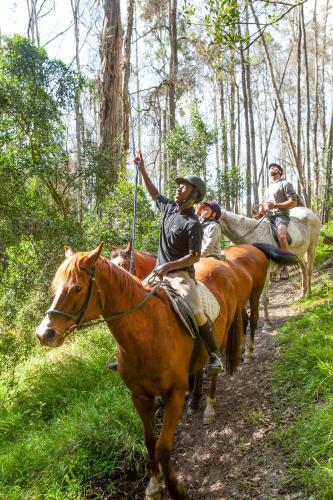Agroturismo Oakhurst Farm Cottages
