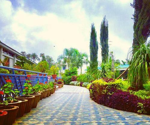 Hotel Hummingbird Resort
