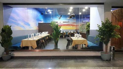 Hotel Hummingbird Resort