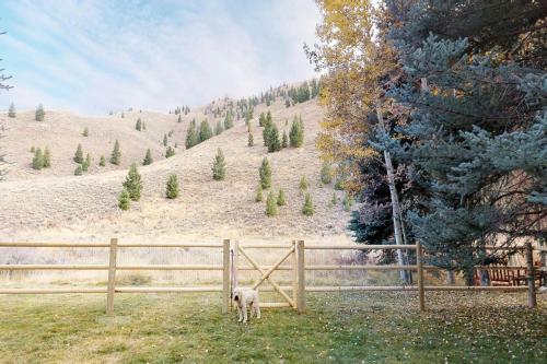Sun Valley Adventure