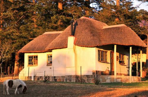 Hostal Berghouse And Cottages