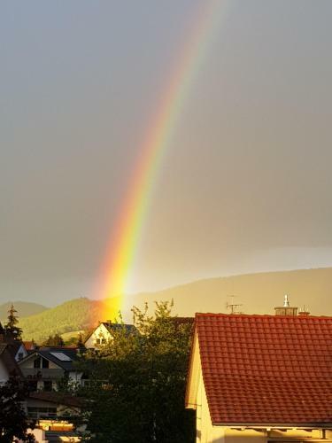 Hostal H41 Inn Hotel Garni Freiburg