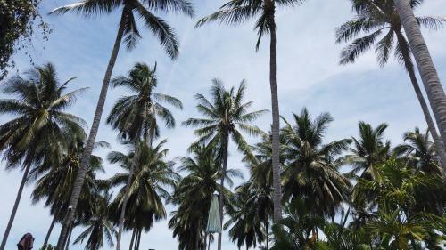 Hotel Asian Secret Resort