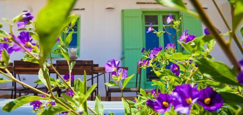 Naoussa Bay Villas
