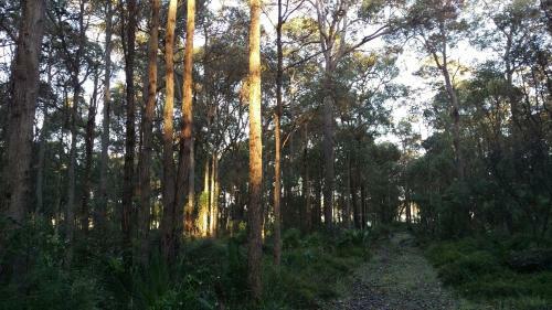 Agroturismo Redgate Forest Retreat