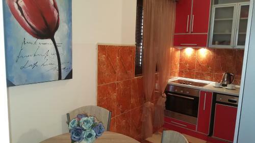 Apartments Rino Lux