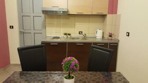 Apartments Rino Lux