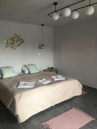Bed & Breakfast Balkon Apartmanh�z Panzi�