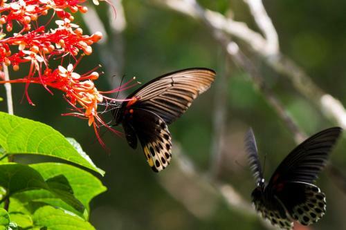 Hotel Cubadak Paradiso Village