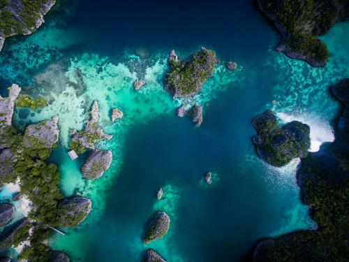Hotel Raja Ampat Biodiversity Nature Resort