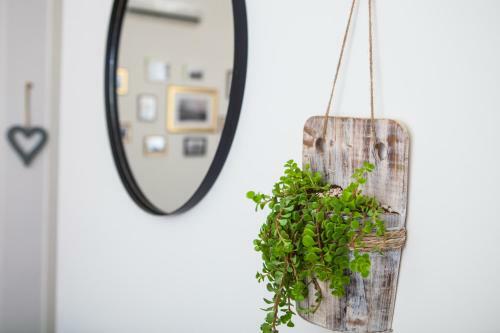 Lodge Olive - Israeli Zimmer