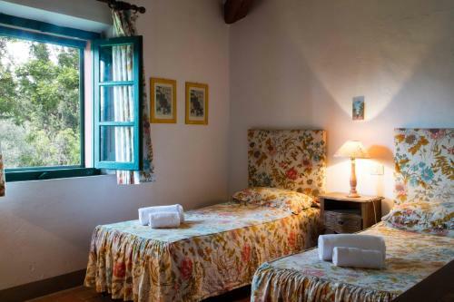Apartamento Tenuta Di Ghizzano