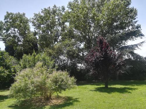Apartamento Appartamenti Podere 13