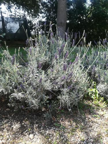 Apartamento Appartamenti Podere 13