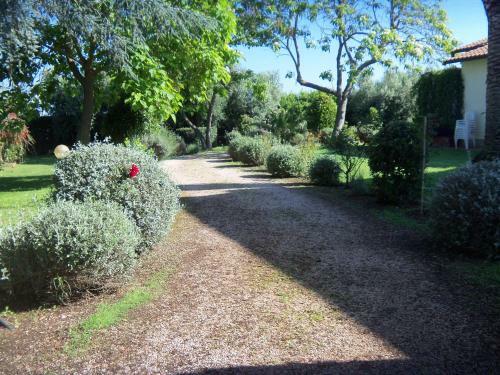 Apartamento Appartamenti Podere 13