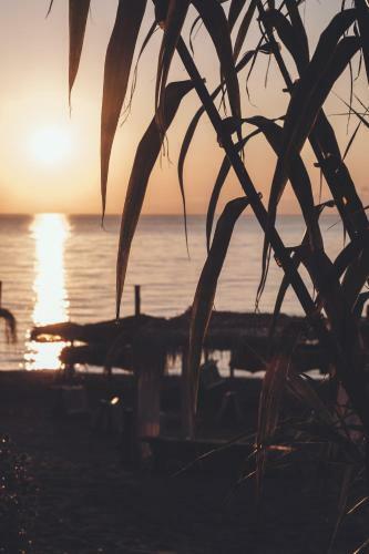 Hotel Riva Del Sol Beach Resort
