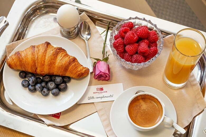 Hotel Sofia Palace
