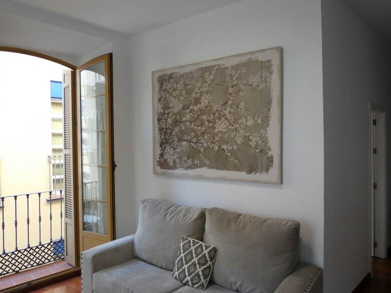 Apartamentos Picasso's Inspiration