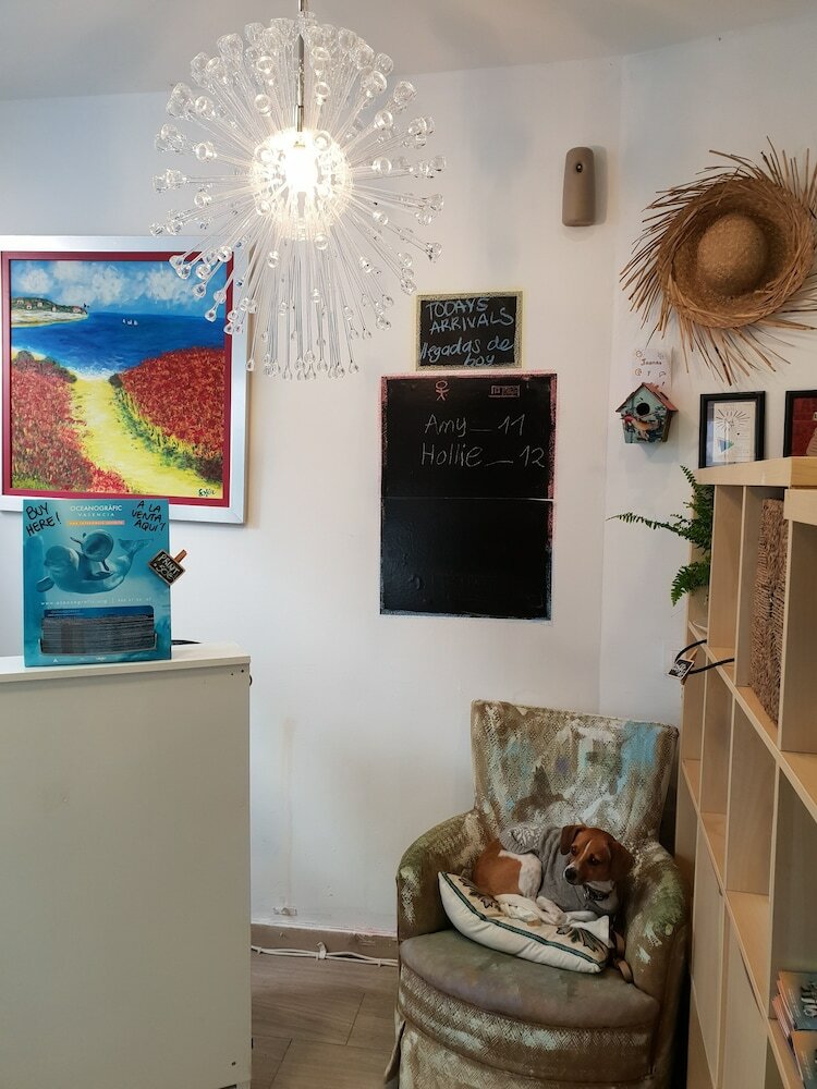 Hostal La Casa Del Colibr� Youth Hostel