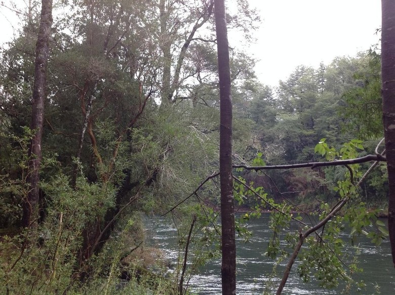 Lodge Tierra Escondida Caba�as Pucon