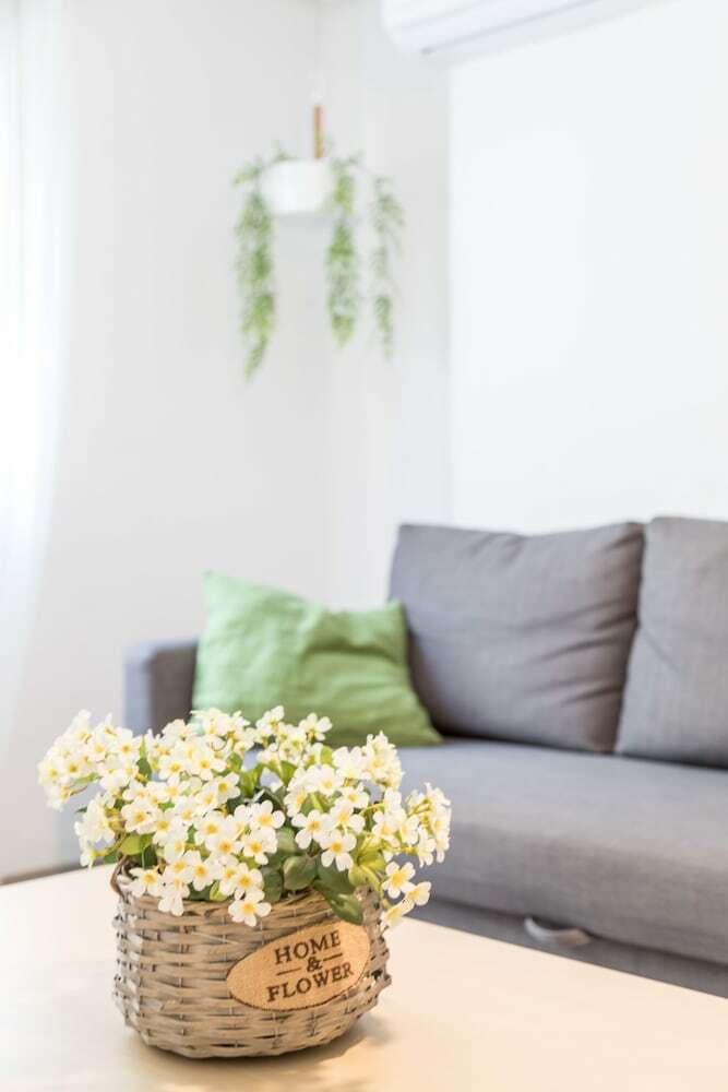 Apartamentos Piso Carolina