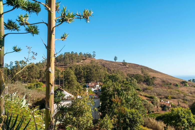 Casa Rural Con Piscina Privada En Firgas