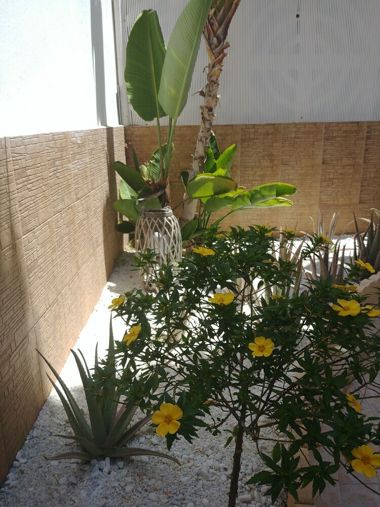 Apartamentos Gran Canaria Guesthouse
