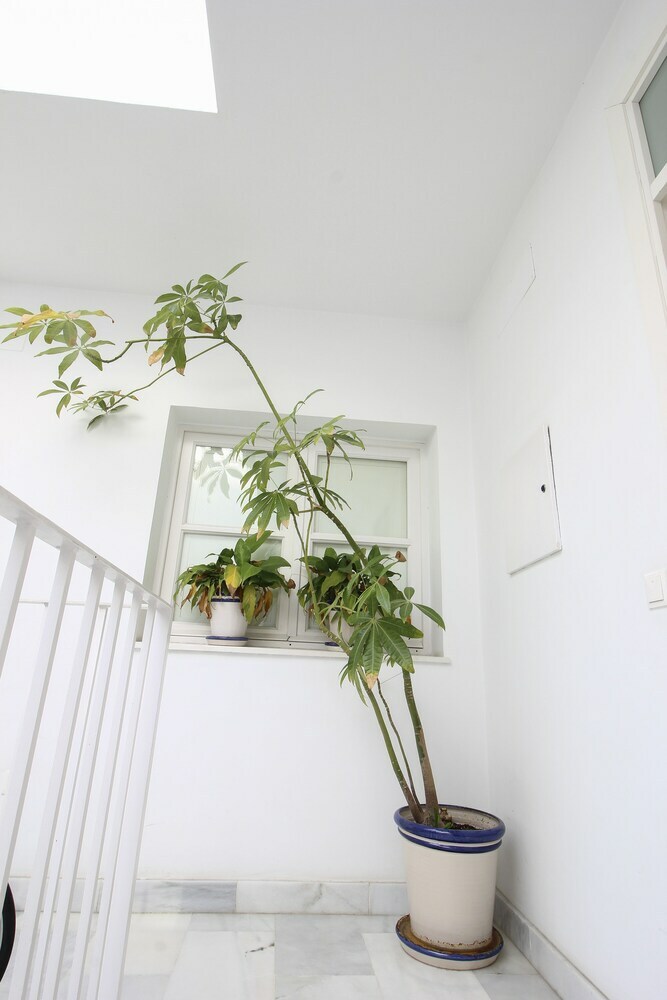 Deluxe Apartment San Luis