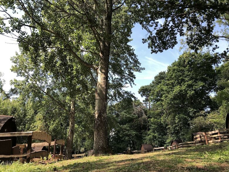 Edinburgh Cabin Camping