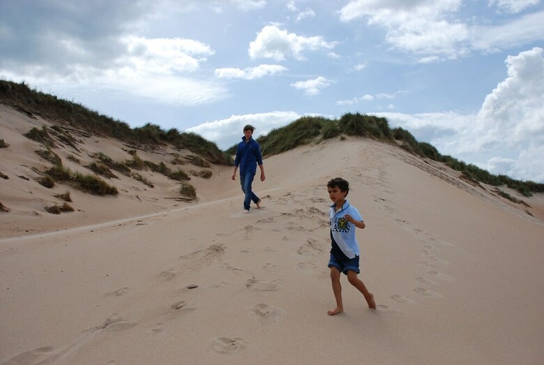 Cabana Harvest Moon Treehouse
