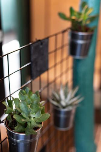 Apartamento Mar�e Haute - Nice Refresh Studio In A Full Center - Netflix - Wifi -