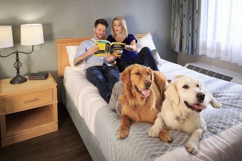 Hotel Accent Inns Burnaby