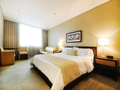 Hotel San Fernando Plaza