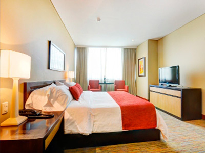 Hotel San Fernando Plaza