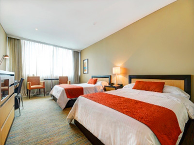 Hotel San Fernando Plaza