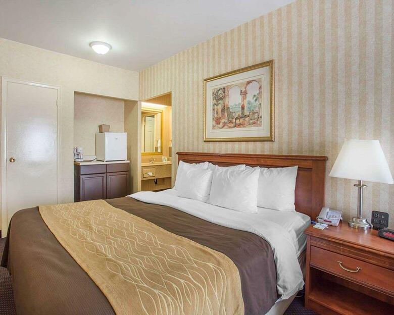 Hotel Comfort Inn Toronto Airport
