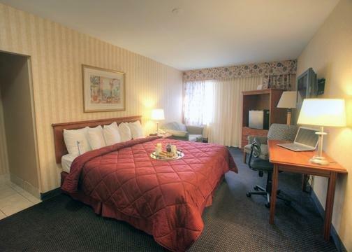 Hotel Comfort Inn Toronto Airport