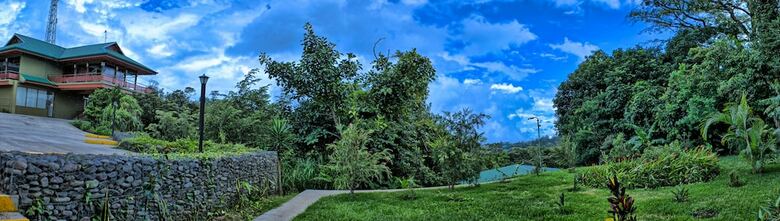 Hotel Ficus Sunset Suites