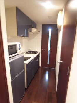 Apartamentos Palace Studio Shibuya Honmachi