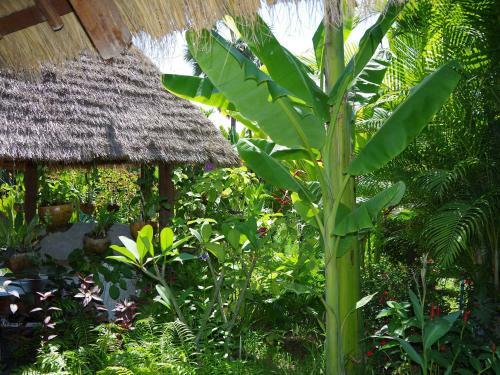 Hotel Manhattan Siem Reap Villa