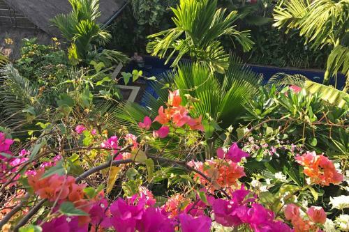 Hotel Manhattan Siem Reap Villa